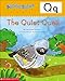 AlphaTales (Letter Q: The Quiet Quail): A Series of 26 Irresistible Animal Storybooks That Build Phonemic Awareness & Teach Each letter of the Alphabet