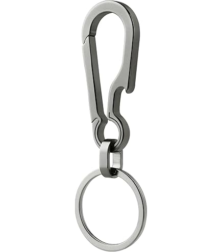 Amazon.com: BrainKer 2 Pcs Zinc Keychain Clip Key Ring,Metal