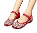 AvaCostume Women's Chinese Embroidery Casual Mary Jane Travel Walking Shoes