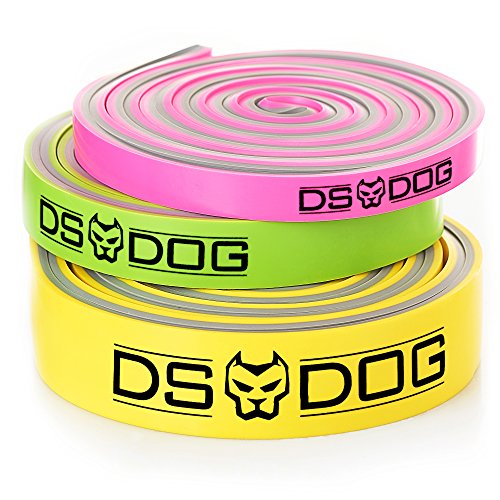 Set of 3 Dual Color Resistance Bands - with eGuide by DS DOG - Durable Workout Equipment - Compact, Effective and Versatile Latex Exercise Bands for Training at Home, Gym, Outside