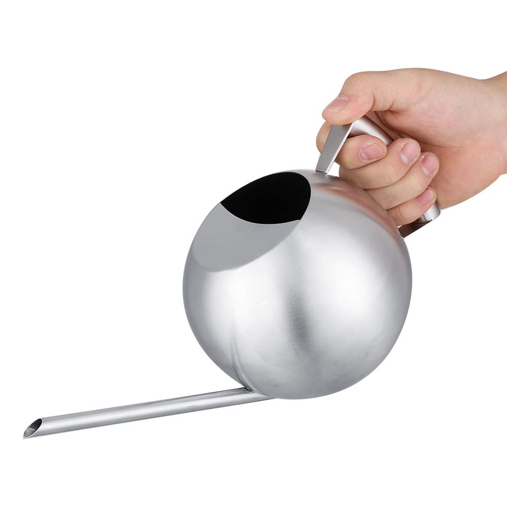 Fdit 1000Ml Stainless Steel Watering Can Indoor With Long Spout for Kitchen Herb Gardens Plants