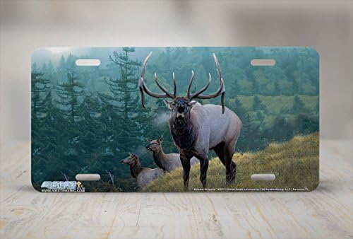8301-"Autumn Acapella"-Elk License Plate