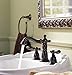 Delta Faucet 75046-RB Bath Hardware, 3 x 7.06 x 7.75 Inches, Venetian Bronze
