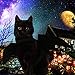 Cat Halloween Costumes Pet Dog Cat Bat Wings Costume Dog Bat Costume Pet Apparel for Cats Small Dog Halloween Costumes PEDOMUS