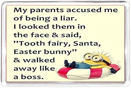 Aimant De Refrigerateur Avec Citation Collectors Cadeau Minion The Lier Parents Pere Noel Tooth Fairy Boss Lapin De Paques Amazon Fr Cuisine Maison