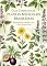 Livro Guia Completo de Plantas Medicinais Brasileiras: Propriedades Terapêuticas e Usos Tradicionais (Saúde Livro 2)