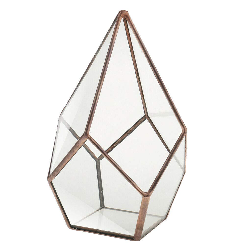 Air Planter Succulent Diamond Glass Geometric Terrarium Home Tabletop Decor