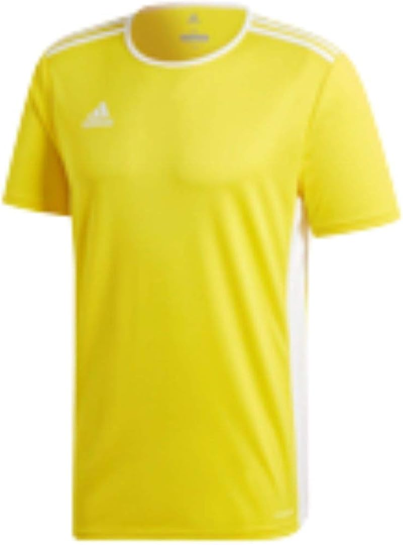 adidas entrada 18 ss jersey