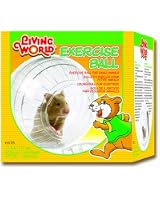 View of Ferplast Duna Fun Hamster Cage with Accessories (55 x 39 x 37.5 cm ...