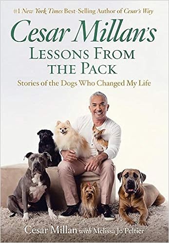 cesar millan amazon