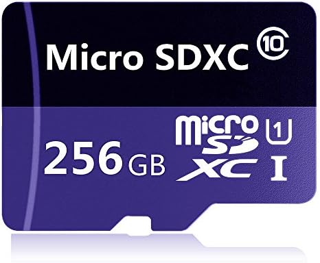 Micro SD Card 256GB, GGenerici 256GB High Speed Class 10 Micro SD SDXC Card with Adapter (256GB)