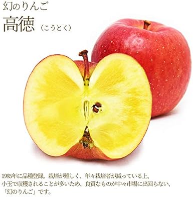 Amazon 山形産 蜜入りりんご 高徳 こうとく 1kg 約6玉前後 グルメ ギフトお取り寄せ 山形elab りんご 通販