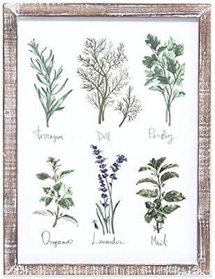 Amazon Com Barnyard Designs Kitchen Herbs And Spices Wall Art