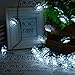 Qedertek Solar Christmas Lights, 19ft 30 LED Flower Waterproof Garden Decoration Lighting for Indoor/Outdoor, Patio, Lawn, Garden, Christmas, and Holiday Festivals (White)