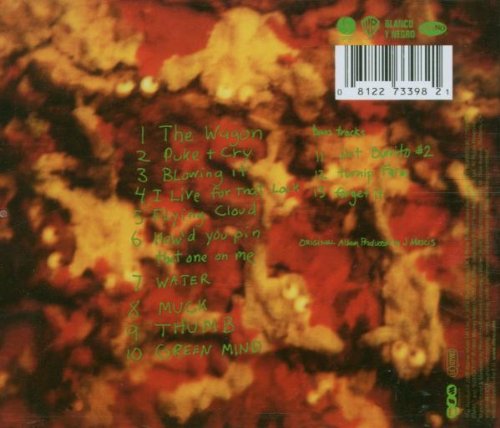 Green Mind Audio Cd Dinosaur Jr Amazon Sg Music