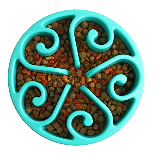 pedy-pet-fun-feeder-dog-bowl-slow-feeder-slow-feed-dog-bowl-bloat
