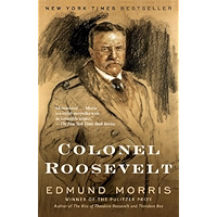 Colonel Roosevelt (Theodore Roosevelt Series Book 3) book cover