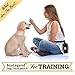 Boxlegend® Hands Free Dog Treat Pouch and Training Bag with Poop Bag Dispenser, Waist Clip and Drawstring. Carries Treats and Toys