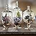 Small Glass Apothecary Jars with Lids, 3-PC Kitchen Canisters 8/9/11-inch , Bathroom Organizers, Decorative Storage Containers For Cookie & Candy Buffet, Home, Party & Wedding Centerpiece, Gift Idea