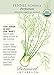 Organic Perfection Florence Fennel Seeds - 500 mg - Botanical Interests