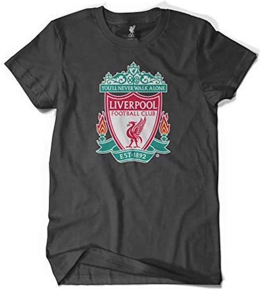 Liverpool FC MVP Grey T-Shirt