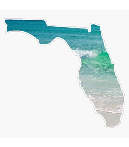Pegatina De Playa De Florida Para Coche - Diseño Estado FL Con Océano, Para Parachoques, Ventana O Portátil