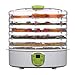 PowerDoF 1 FD280B Premium Countertop Food Dehydrator with 5 Adjustable Tray Drying System, green