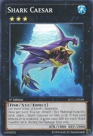 Yu-Gi-Oh! - Shark Caesar (JOTL-EN049) - Judgment of the Light - 1st Edition - Common