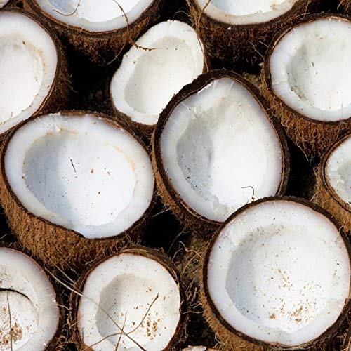 Coconut Shredded Bulk Unsweetened Coconut 10 Pound Wholesale Value Box - Thumbnail 3