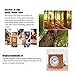 Baban Alarm Clock Square Handmade Creative Classic Small Wooden Mute Lazy Bedside Clock with Night Light Sapele