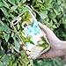 Ringke Mirror Designed for iPhone 7 Plus Case Bright Reflection Phone Cover - Silver