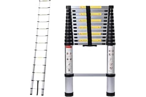 BOWOSHEN Aluminum Telescoping Ladder 16.4ft Straight Extension Folding Ladder Portable Lightweight for Home Loft Office 330lbs Load Capacity EN131 Certificated with Anti-Slip Rubber Feet 13 Steps