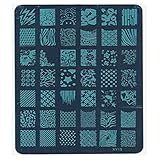 TraveT Nail Art Decor Printing Plate Nail Stamping