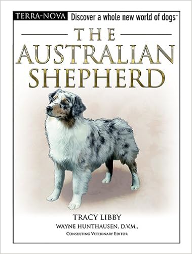 Buy The Australian Shepherd (Terra Nova Series) Book Online at Low ...