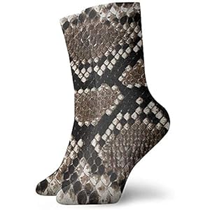 51PPE3%2BZEqL. SS300