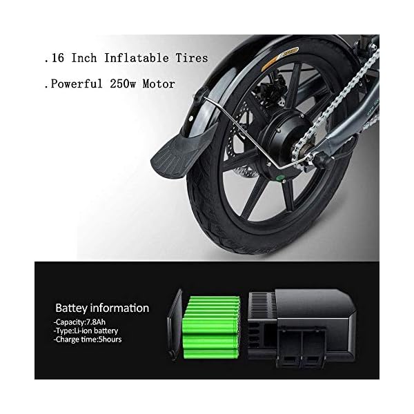 €569.66 FIIDO D2 Bicicletta elettrica pieghevole E-Bike con motore da 250  W, velocità massima 25 km/h, bicicletta elettrica 7,8… - bikewebshop.it