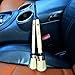 Alvi & Remi Car Detailing Brush Set with 2