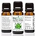 Biofinest Aloe Vera Organic Oil - 100% Pure, Natural, Cold-Pressed - Premium Quality - Best Moisturizer For Hair, Face & Skin - Boost Wound Recovery - FREE E-Book (10ml)