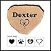 Accent Direct Personalized Pet Memorial Stone | Custom Engraved Natural Stone | Grave Marker, Garden Stone, Desk or Shelf, Indoor or Outdoor | Color – Buckskin.