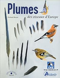 Plumes des oiseaux d'Europe