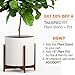 Fox & Fern Mid Century Plant Stand — 14.9 Inch Fixed Size Wooden Plant Stand for Indoor Planters (Not Included) - Extra Large Flower Pot Holder for Indoor Big Pots - Plug In Design - Acacia