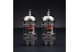 AMPTATA Matched Pair ShuGuang 12AX7B ECC83 12AX7 Vacuum Valve Tube Amplifier Classic 2024 New Version With Separator Plates Inside