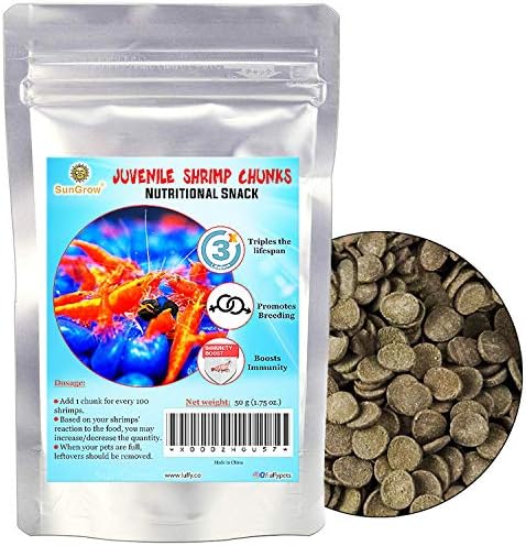 breeding shrimp for fish food