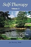 Self-Therapy, Vol. 3: A Step-by-Step Guide to Using IFS for Eating Issues, Procrastination, the Inner Critic, Depression, Perfectionism, Anger, Communication, and More (Self-Therapy Series) (Volume 3)