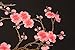 Two Asian Cherry Blossom Sakura Flower Iron on Embroidered Appliques Patch Japanese Chinese (Pink)