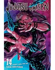 Jujutsu Kaisen, Vol. 14 (14)