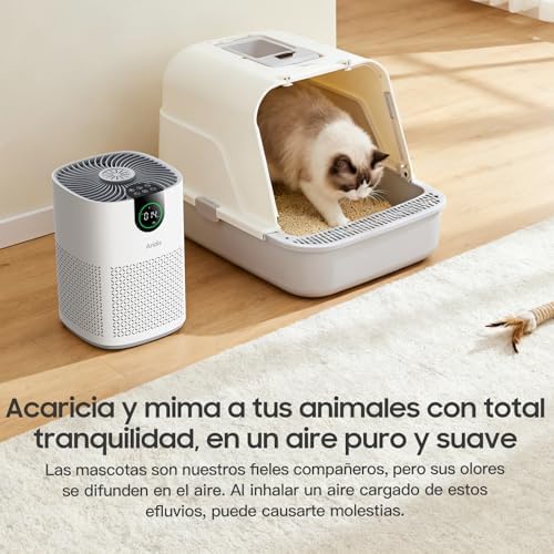 Purificador de Aire con Filtro HEPA - Filtro para Habitaciones Polen, Alergias, Olores y Pelo de Mascotas, con Esponja de Aromaterapia, 7.2W y 3 Velocidades, Silencioso Versión Mejorada