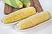 Fox Run Plastic Corn on the Cob Dish, Set of 2, White Trays