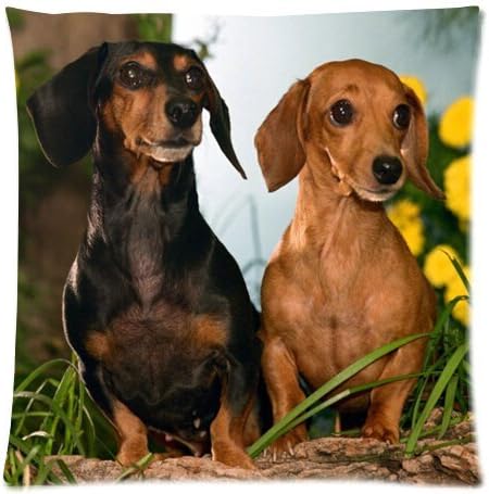 Amazon カスタムかわいいダックスフント犬ベビー枕カバー18 X18 インチツインサイドファスナー付き枕カバーケース 枕 抱き枕 オンライン通販