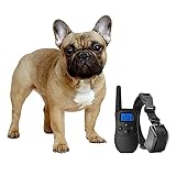 eXuby Shock Collar for Small Dogs with Remote - Includes 2 Collars - Small & Medium and Training Clicker - 3 Modes (Sound, Vibration & Shock) with Rechargeable Batteries